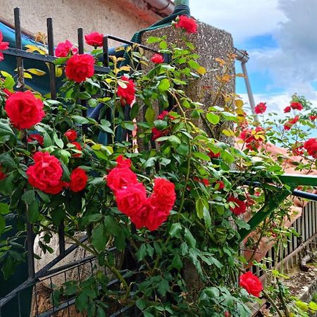 Locazione Turistica" La Rupe" Villa Marsicovetere Eksteriør billede